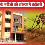 डेंगू के मरीजों की संख्या में बढ़ोतरी | Dengue Patients | Taj City | Urban Areas | Malaria | Sea News