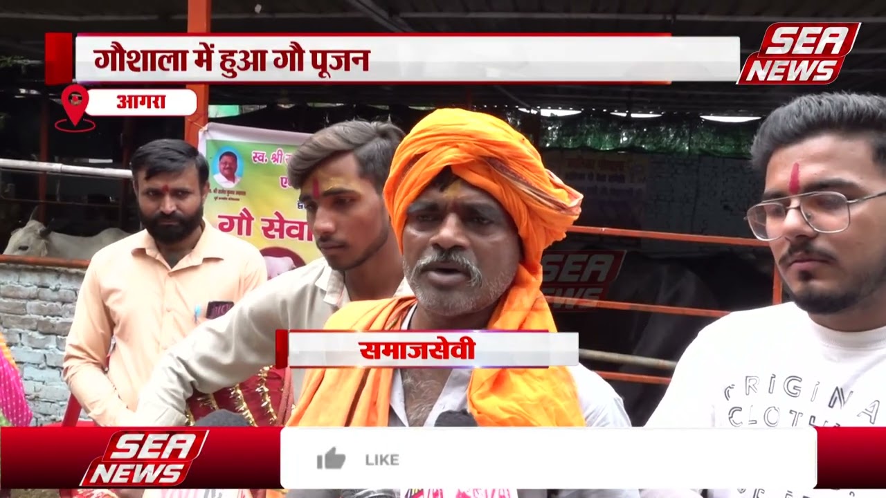 cow shelter on Gopashtami 