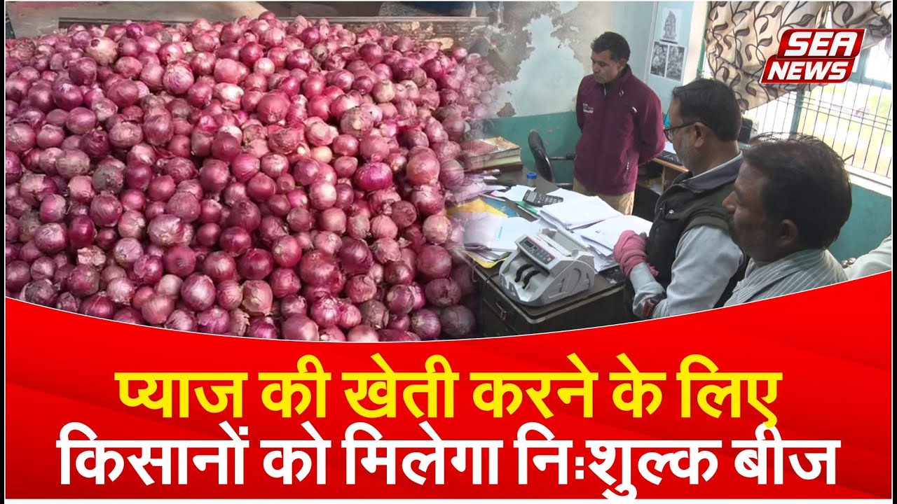 Free Onion Seeds Scheme
