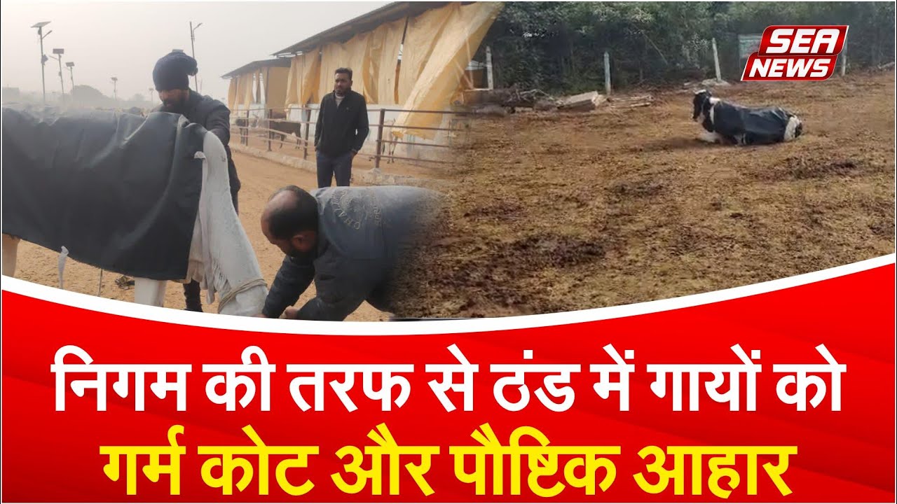 Winter Care