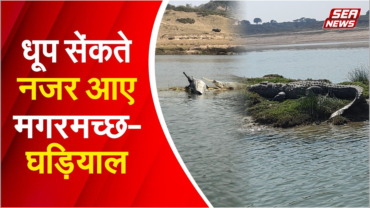 Chambal River