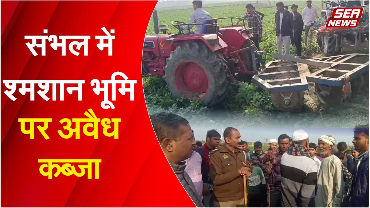 Illegal Farming