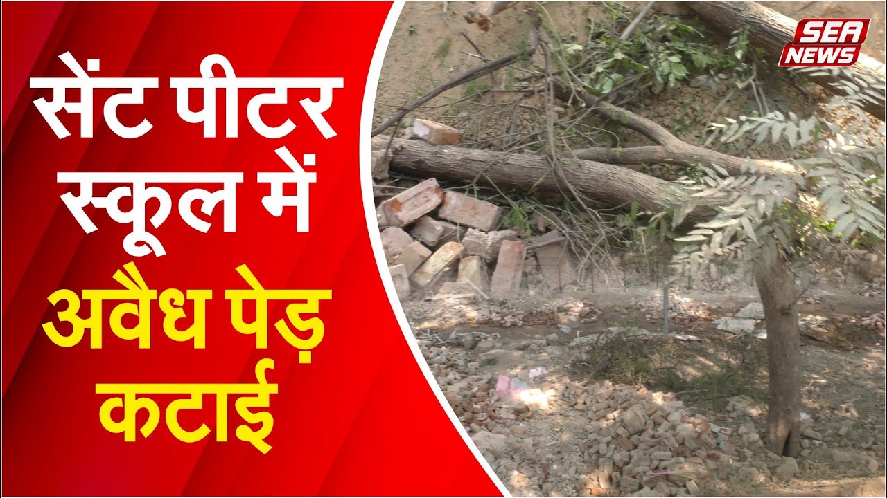 Illegal Tree Cutting