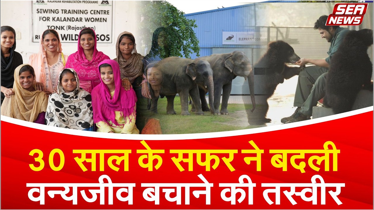 wildlife conservation 