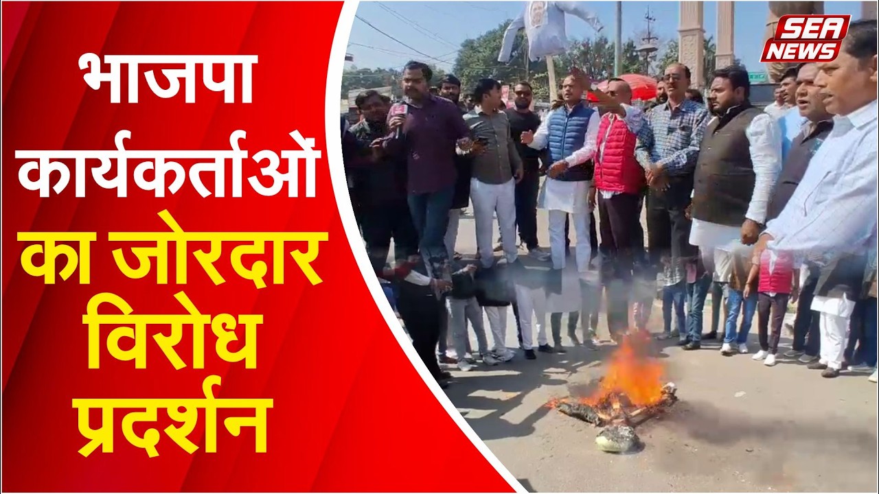 BJP workers