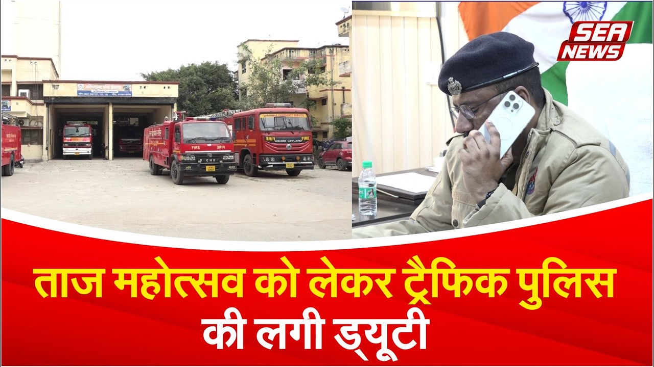 Traffic police