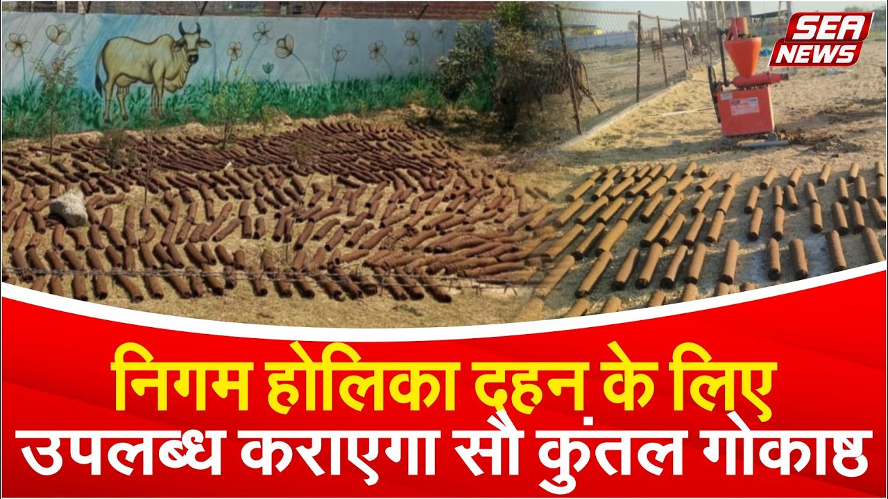 holika dahan