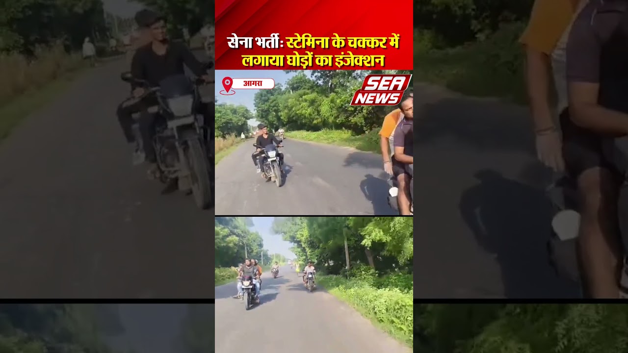 Mirzapur Movie